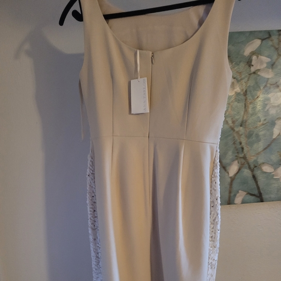 Ann Taylor size 8 beautiful dress - Picture 3 of 8